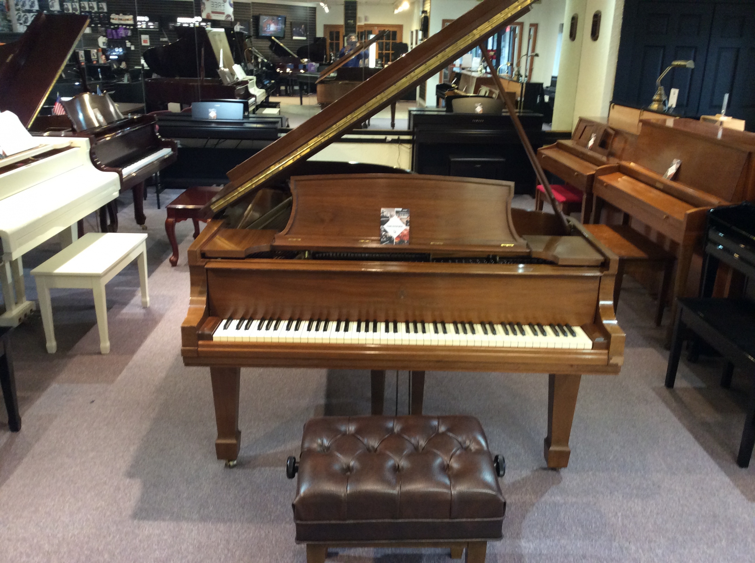 Steinway Model B (Satin Walnut) Pre-owned front view with bench