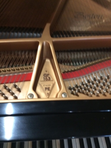 black boston piano
