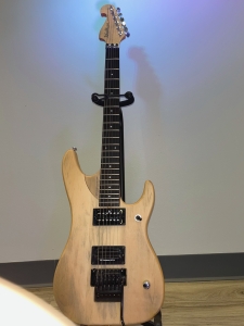 Guitar in Stand