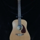 used seagull 12 string